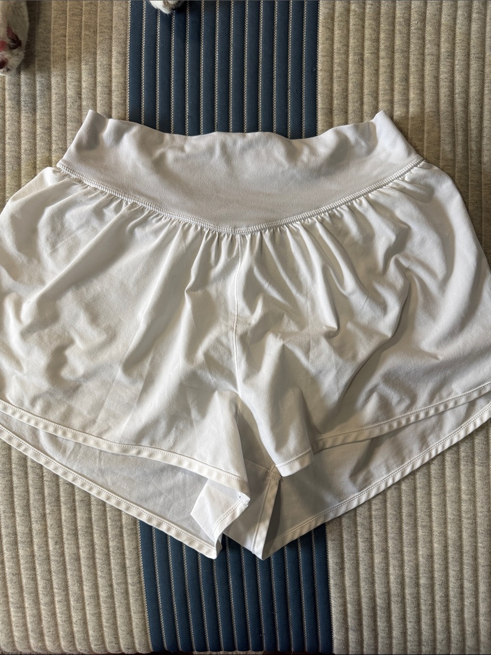 aerie shorts